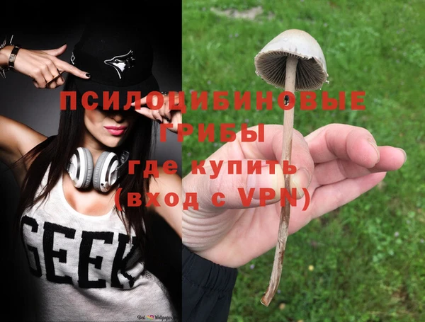 a pvp Алексеевка