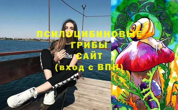 a pvp Алексеевка
