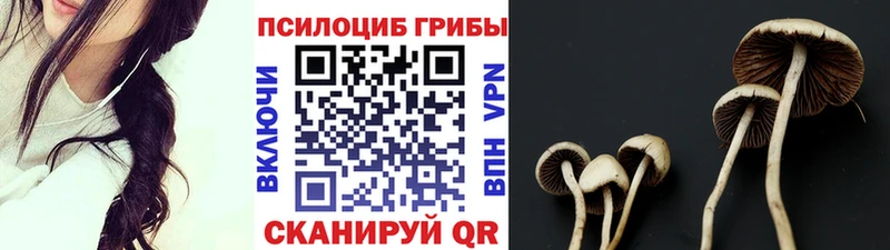 нарко площадка официальный сайт  как найти закладки  Нарьян-Мар  Псилоцибиновые грибы Psilocybine cubensis 